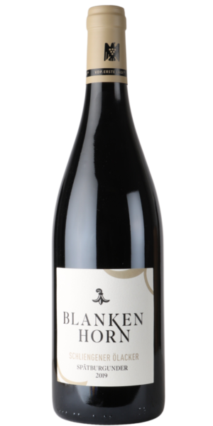 Blankenhorn, Schliengener Ãlacker Pinot Noir Erste Lage 2019 - Fra Tyskland